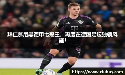 熊猫体育官网
