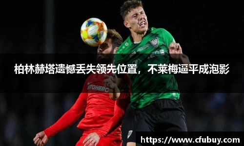 熊猫体育平台官网