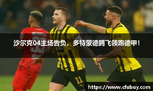 熊猫体育官网