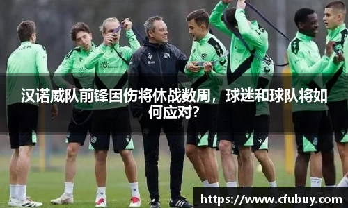 熊猫体育平台官网