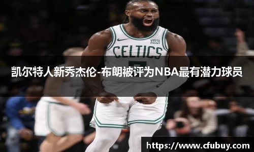 熊猫体育app