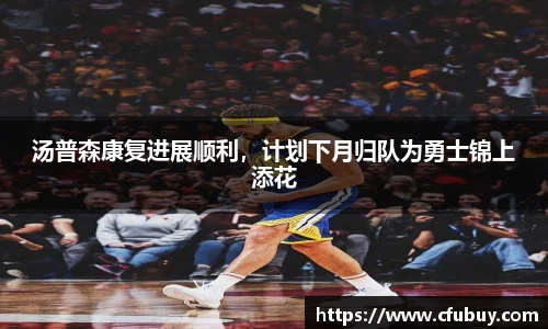 熊猫体育平台官网