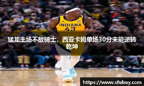 熊猫体育官网