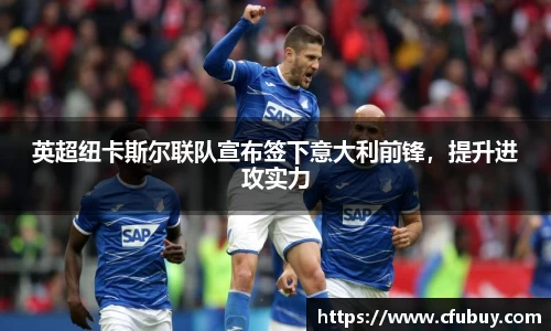 熊猫体育平台官网