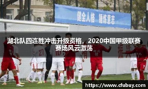 熊猫体育平台官网