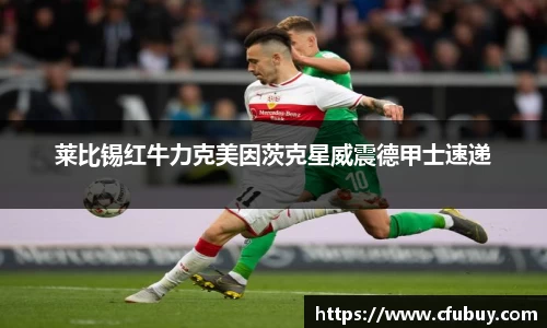 熊猫体育平台官网