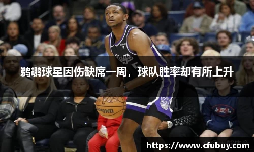 熊猫体育平台官网