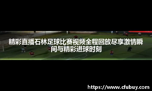 熊猫体育平台官网
