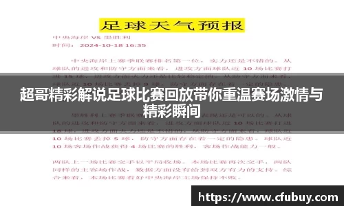 熊猫体育官网