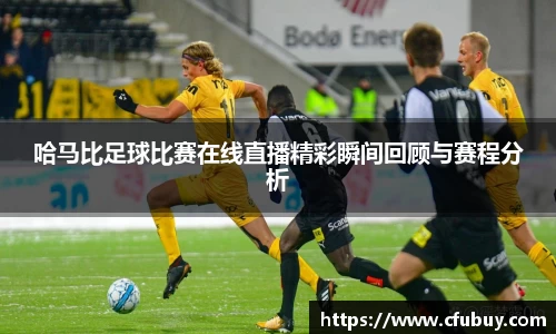 熊猫体育官网