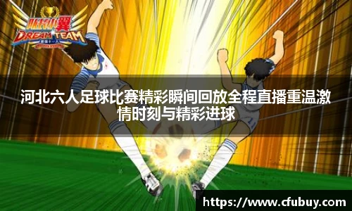 熊猫体育官网